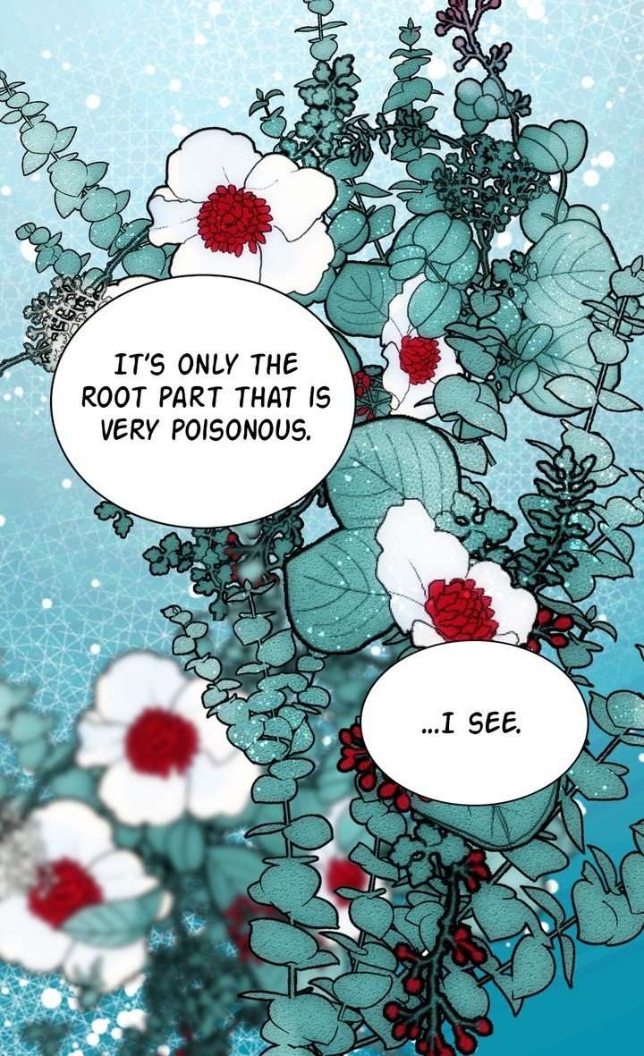 Read Adelaide EN Manga Online