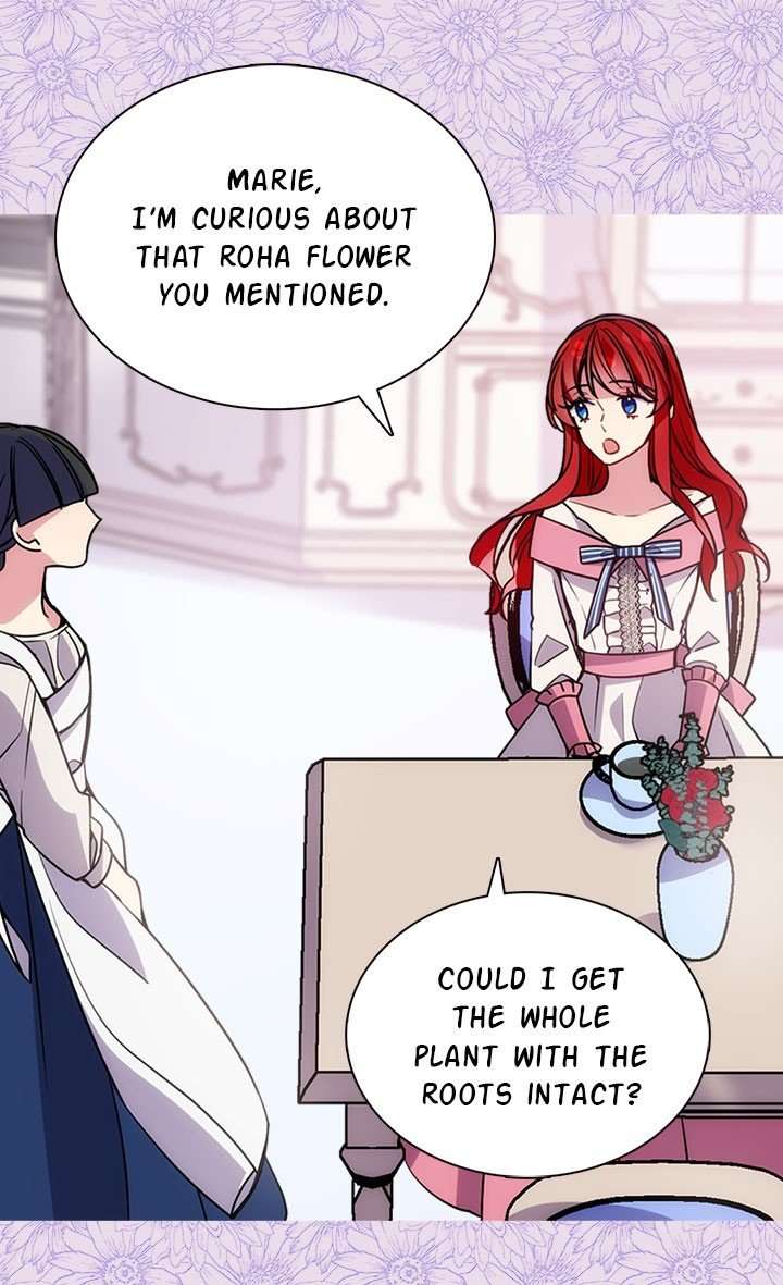 Read Adelaide EN Manga Online