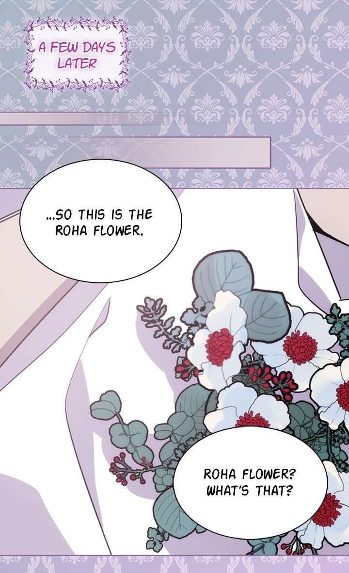 Read Adelaide EN Manga Online