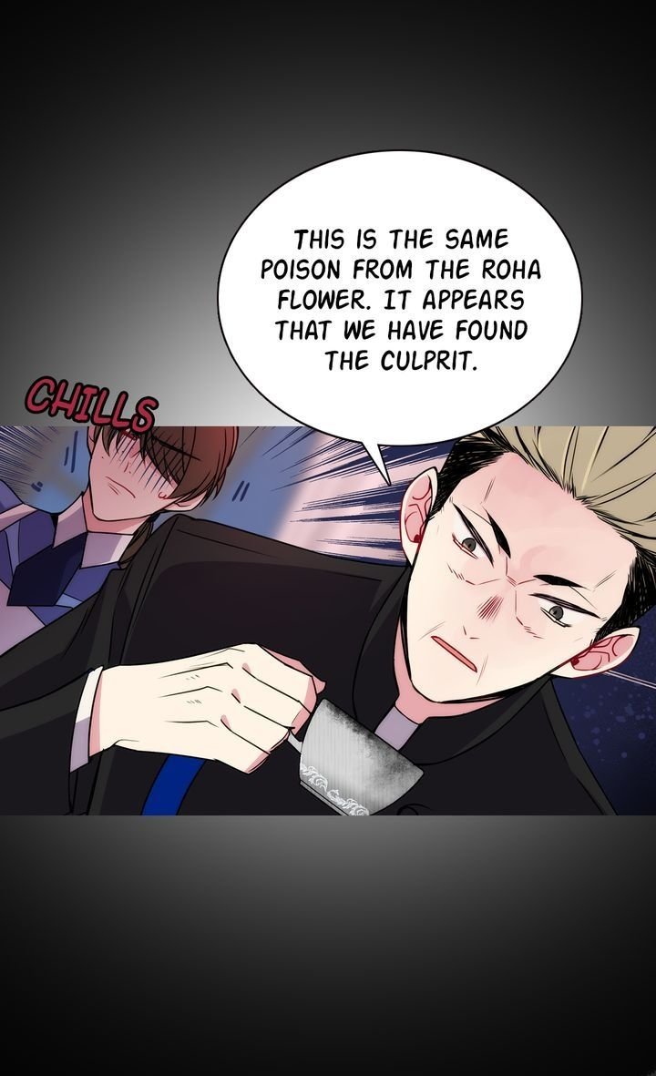 Read Adelaide EN Manga Online