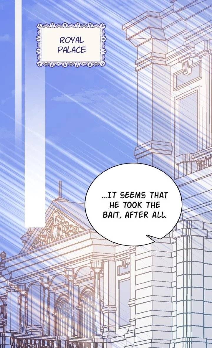 Read Adelaide EN Manga Online