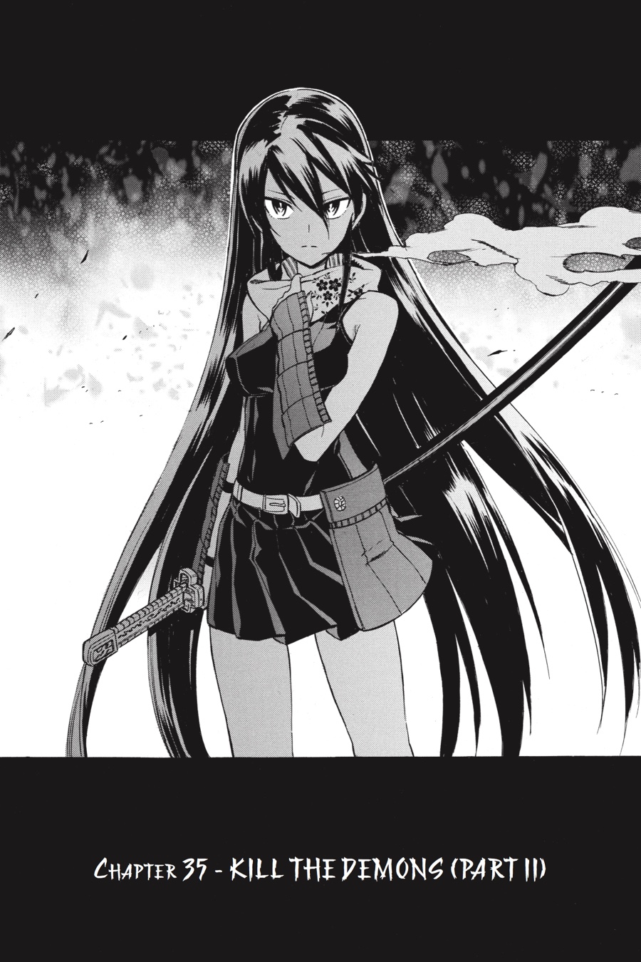 Read Akame ga Kill! EN Manga Online