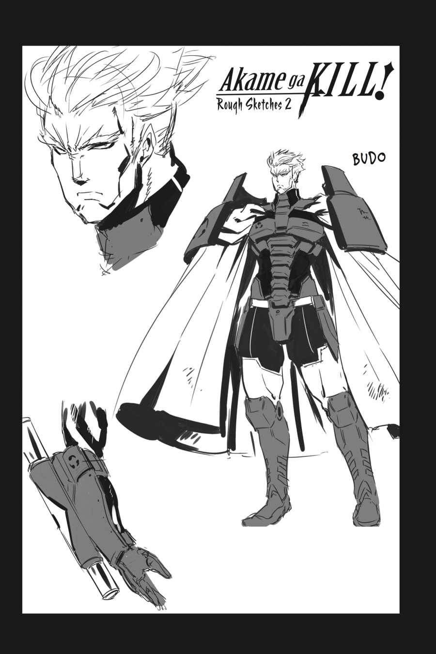 Read Akame ga Kill! EN Manga Online