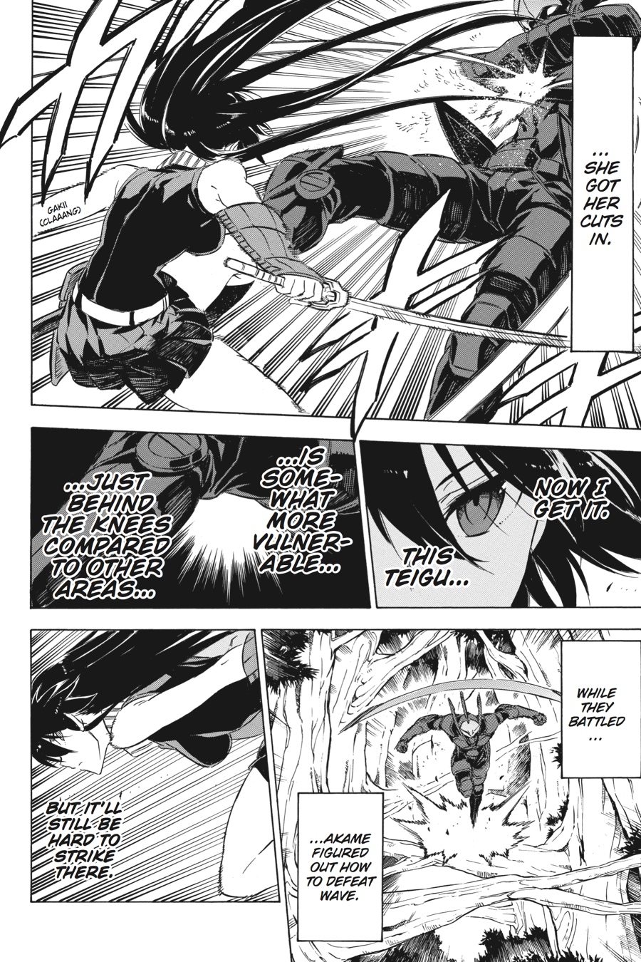Read Akame ga Kill! EN Manga Online
