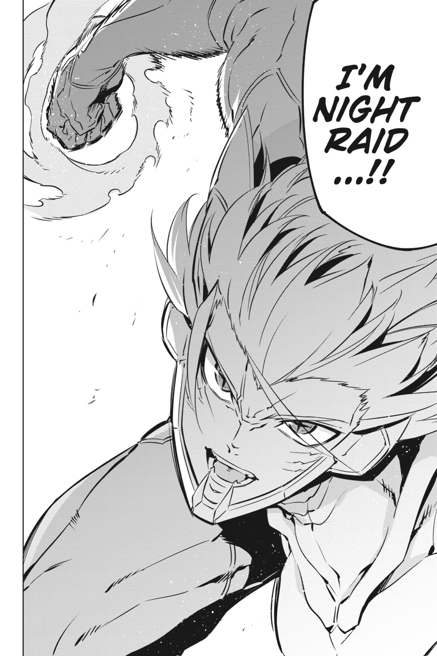 Read Akame ga Kill! EN Manga Online