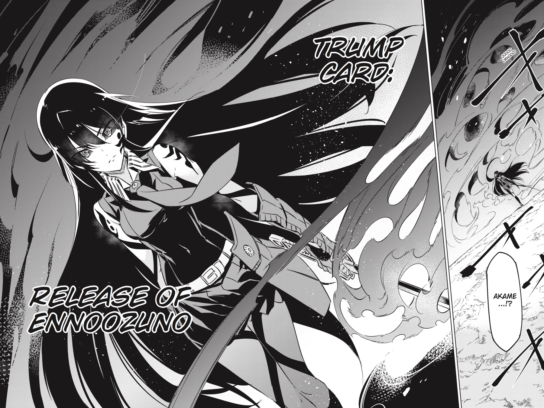 Read Akame ga Kill! EN Manga Online