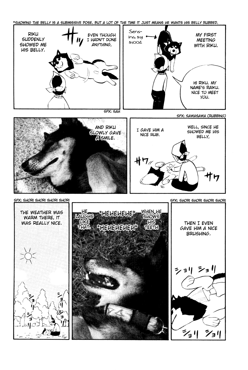 Read Animal Land EN Manga Online