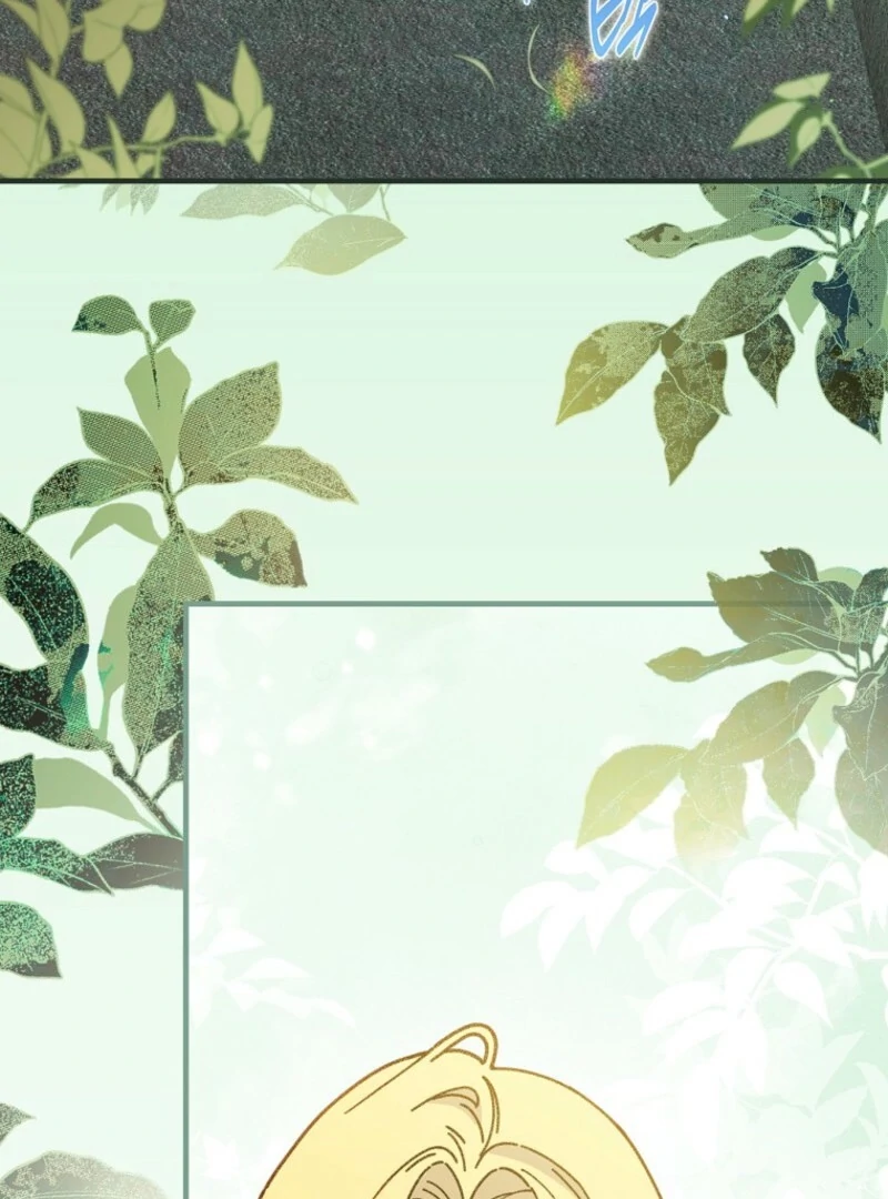 Read Aria of the Withered Branch EN Manga Online