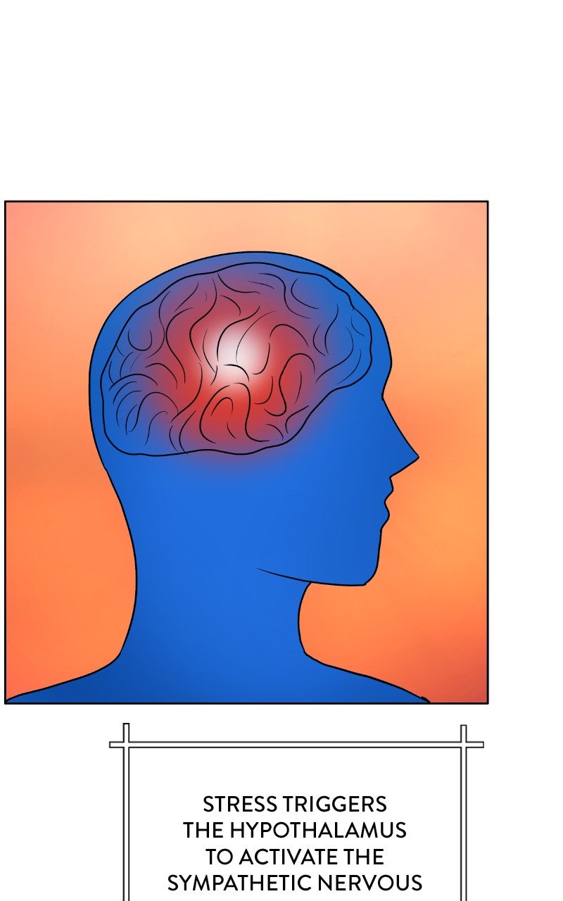 Read Big Man on the Court EN Manga Online