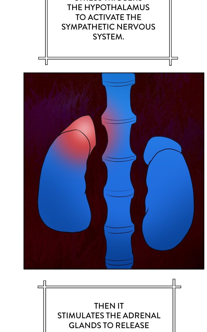 Read Big Man on the Court EN Manga Online