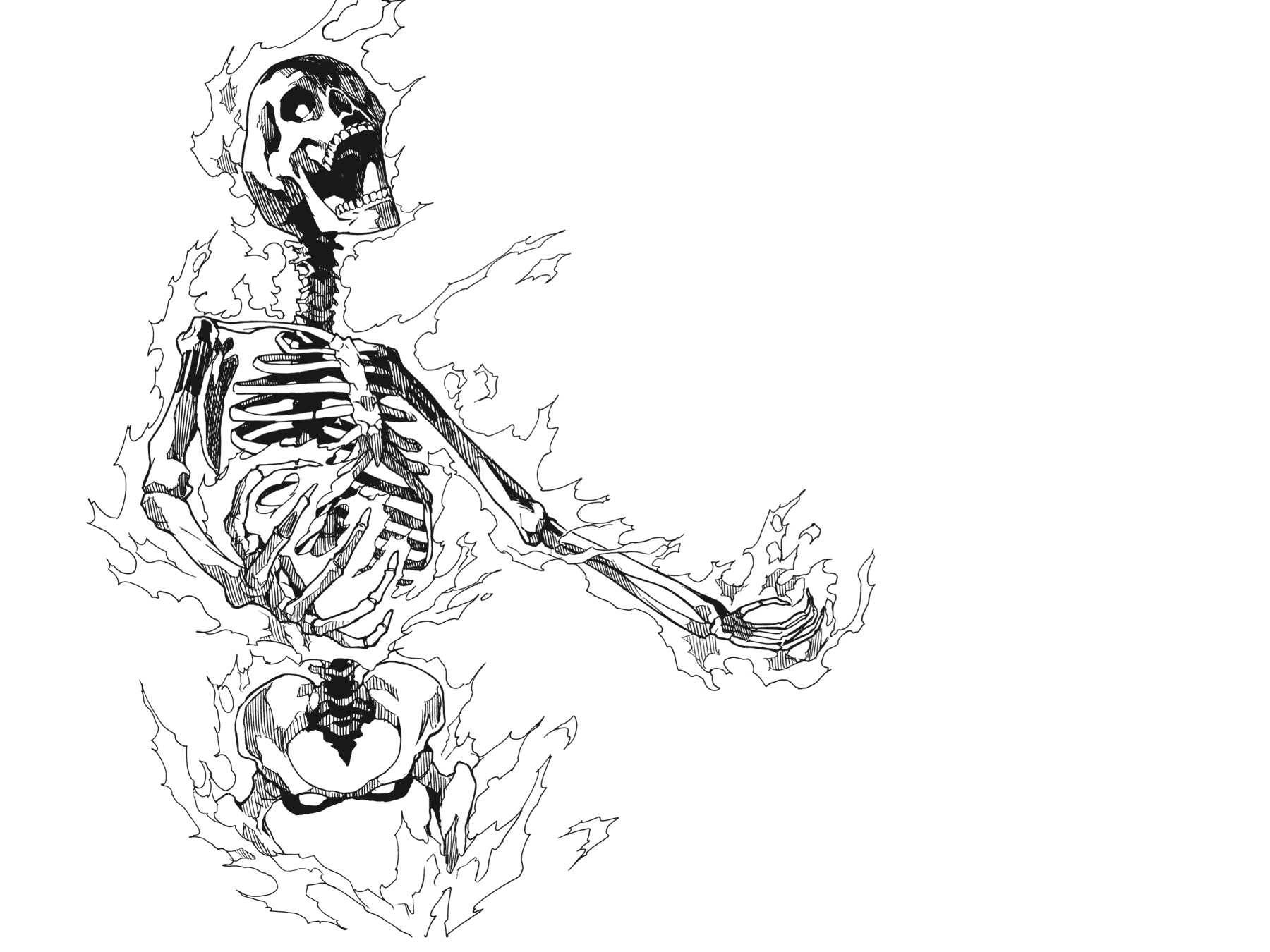 Read Big Order EN Manga Online