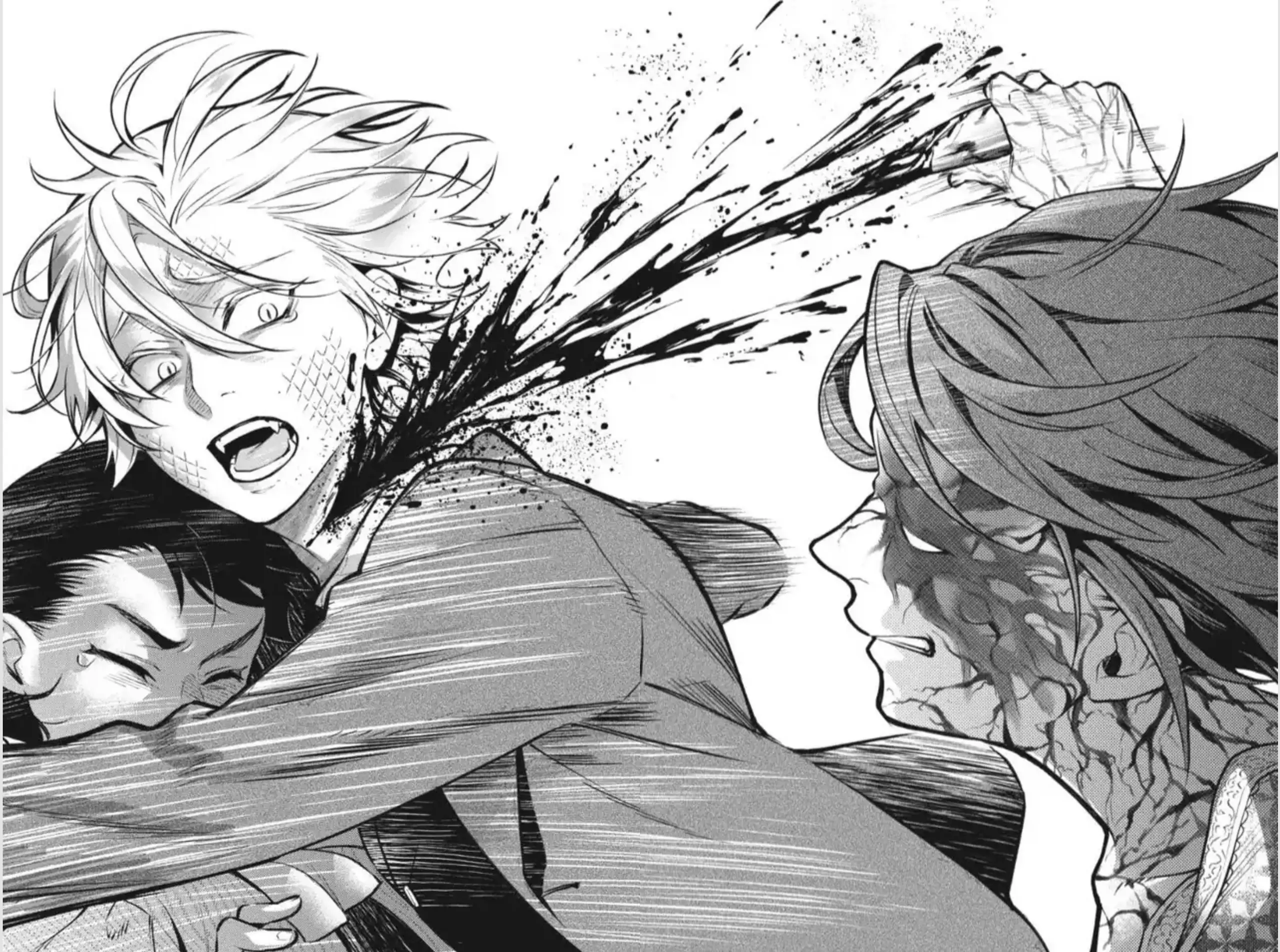 Read Black Butler EN Manga Online