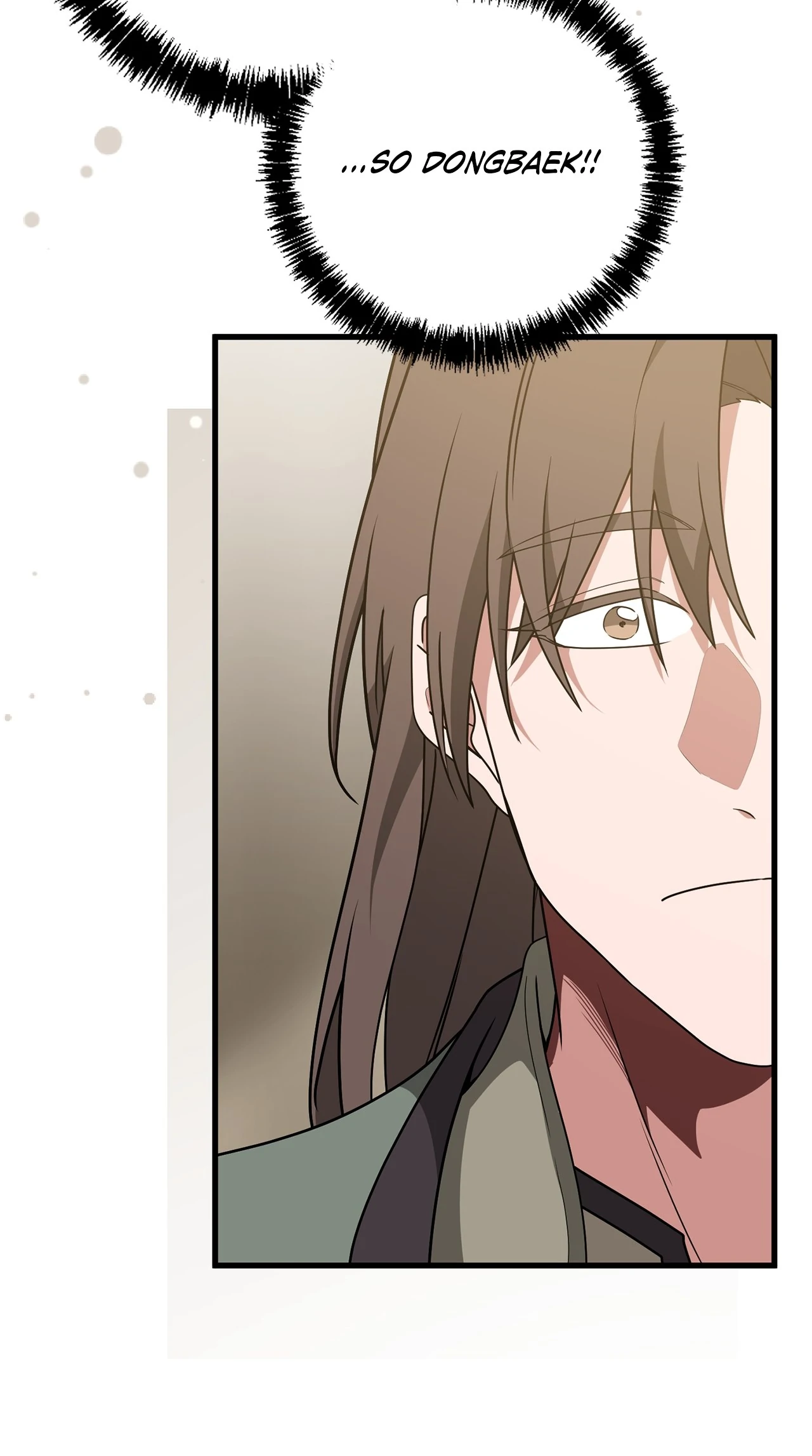 Read Camellia Mastering the Three Kingdoms as Alice EN Manga Online