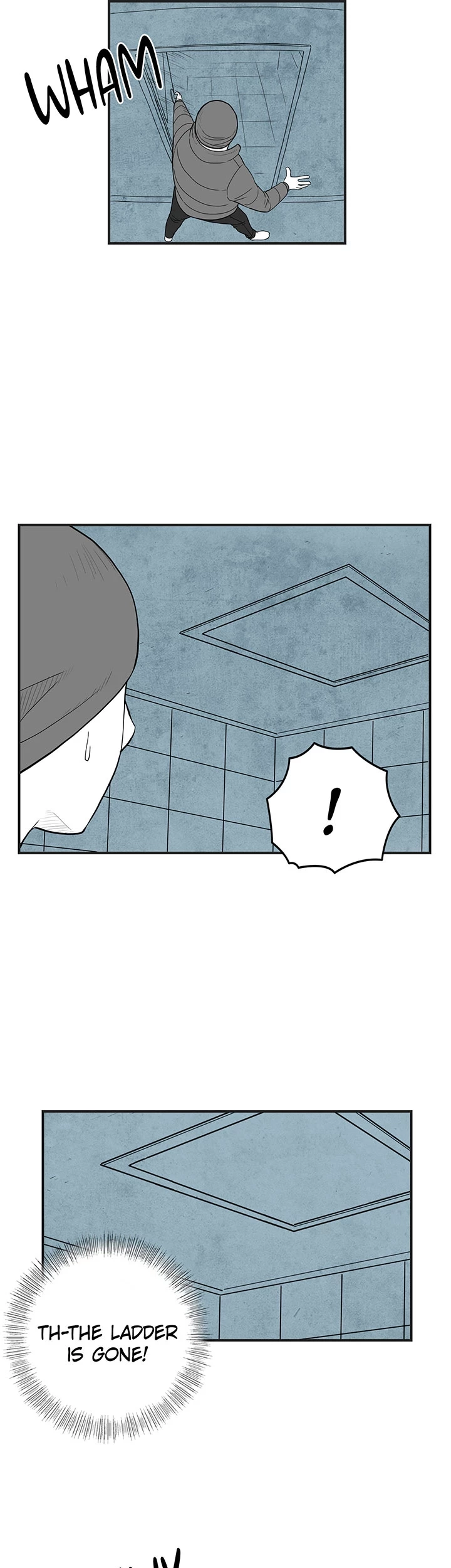 Read Concrete Jungle EN Manga Online