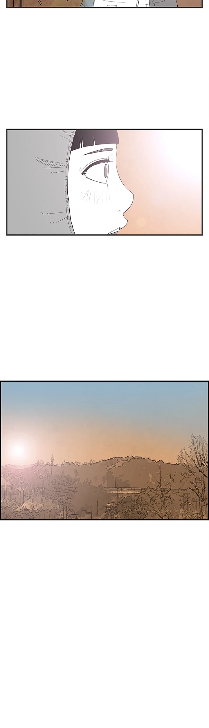 Read Concrete Jungle EN Manga Online