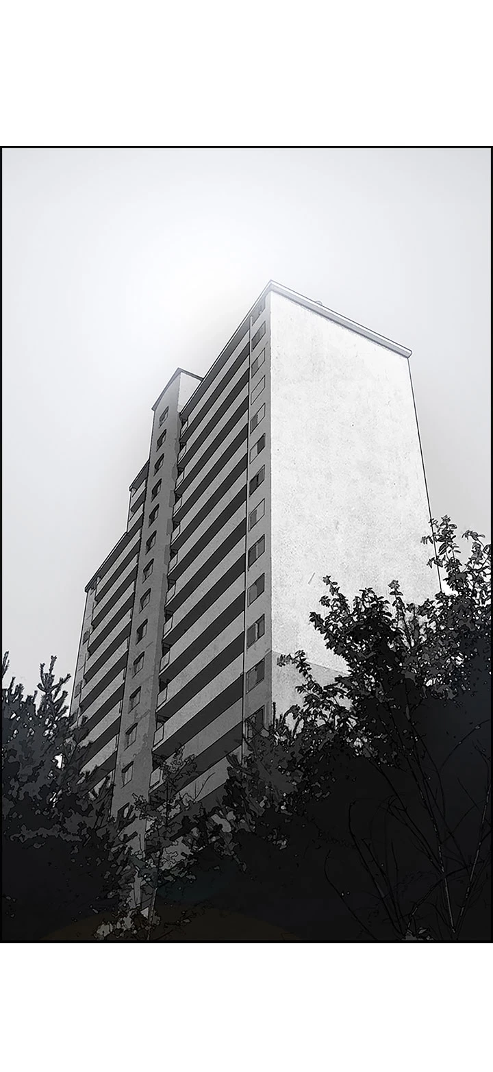 Read Concrete Jungle EN Manga Online