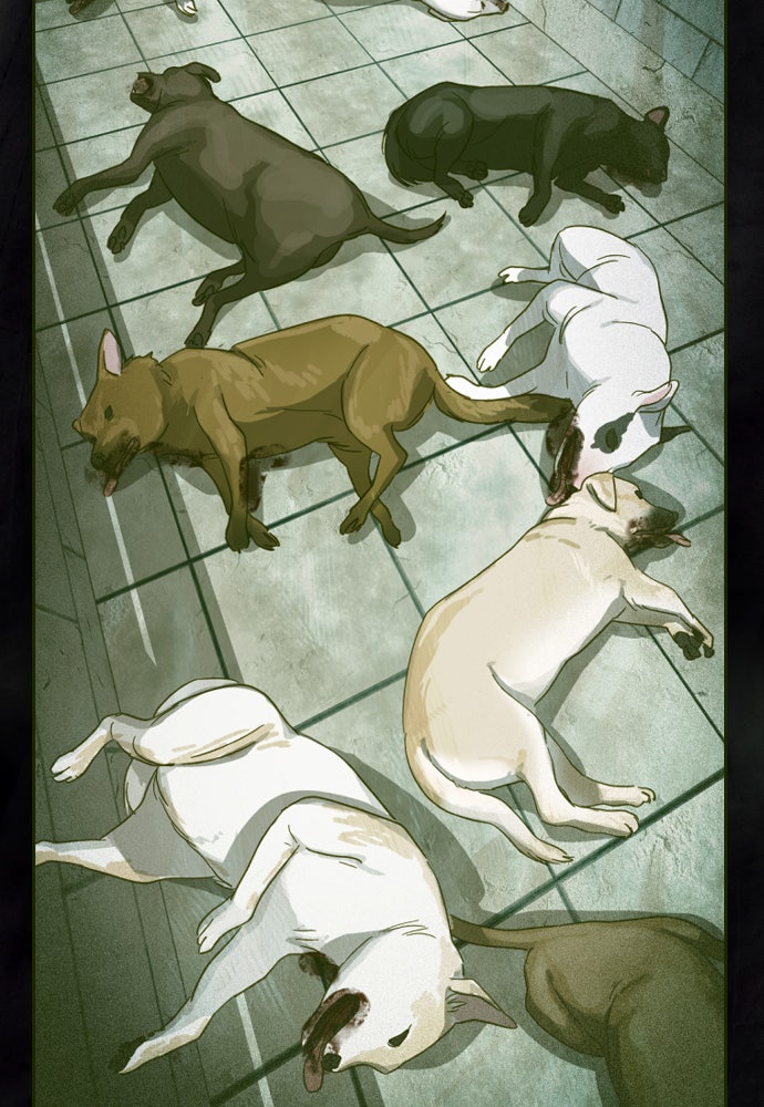 Read Day of Disaster EN Manga Online