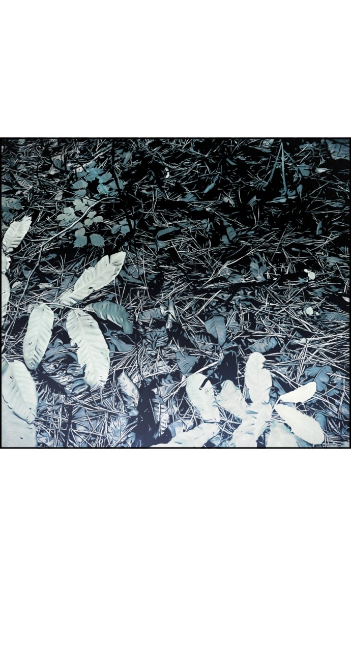 Read Day of Disaster EN Manga Online