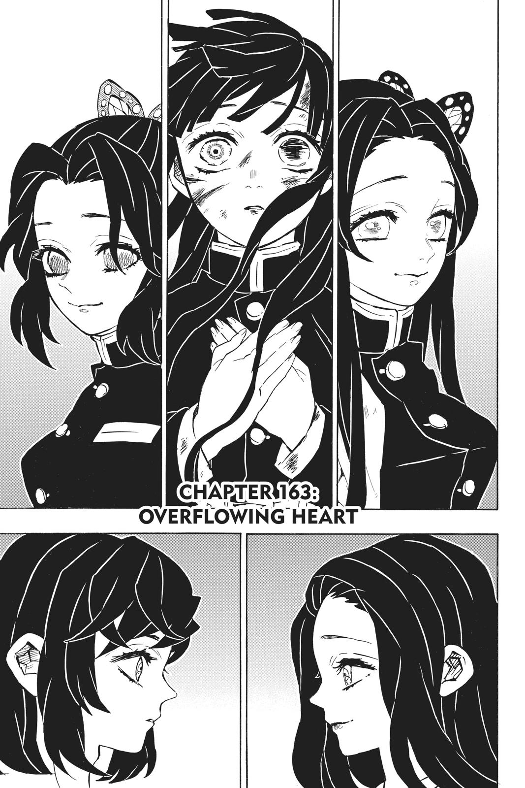 Read Demon Slayer EN Manga Online