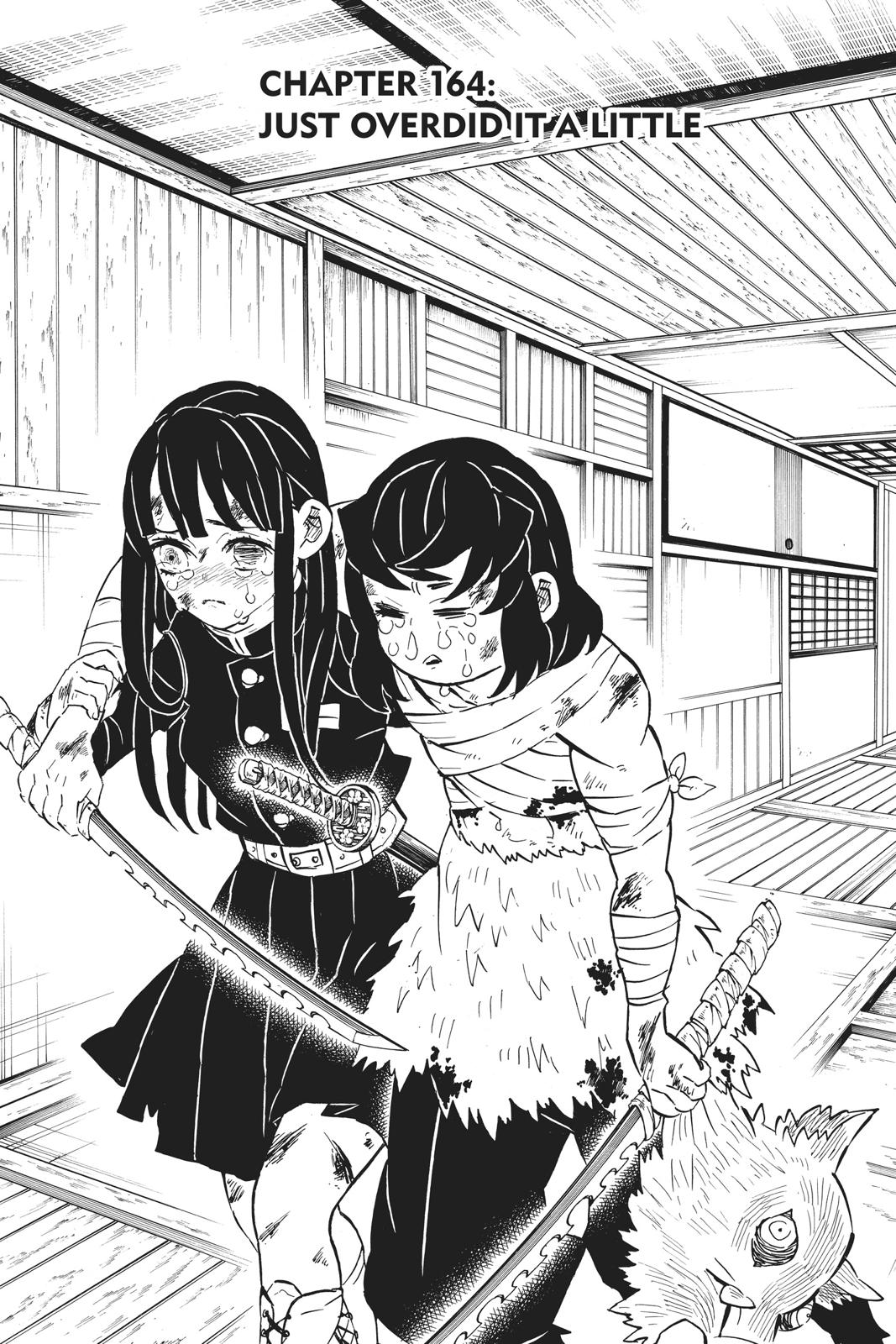 Read Demon Slayer EN Manga Online