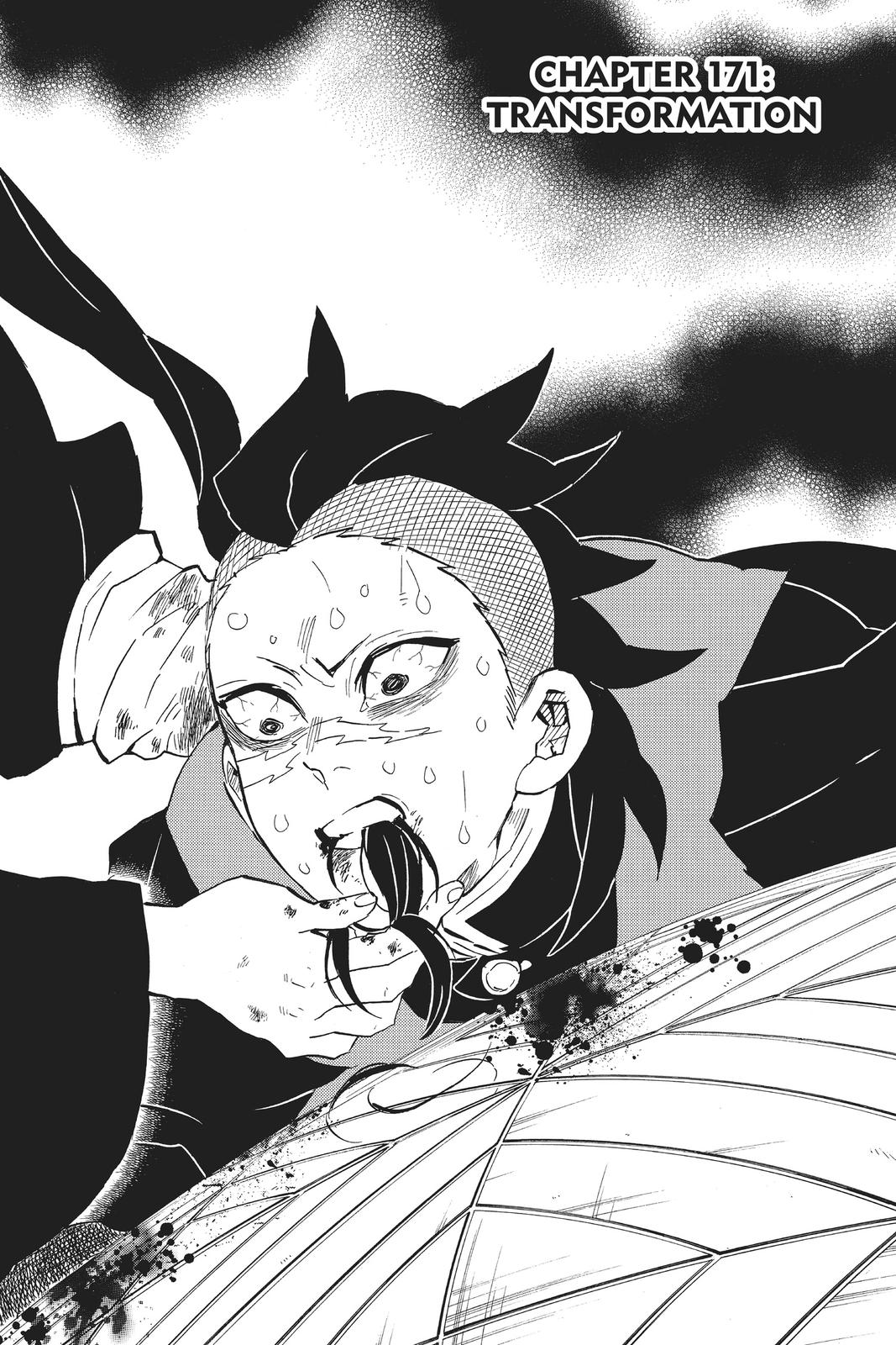 Read Demon Slayer EN Manga Online