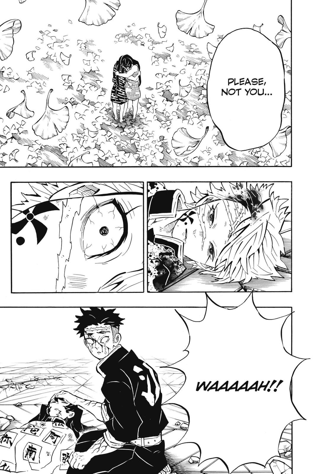 Read Demon Slayer EN Manga Online