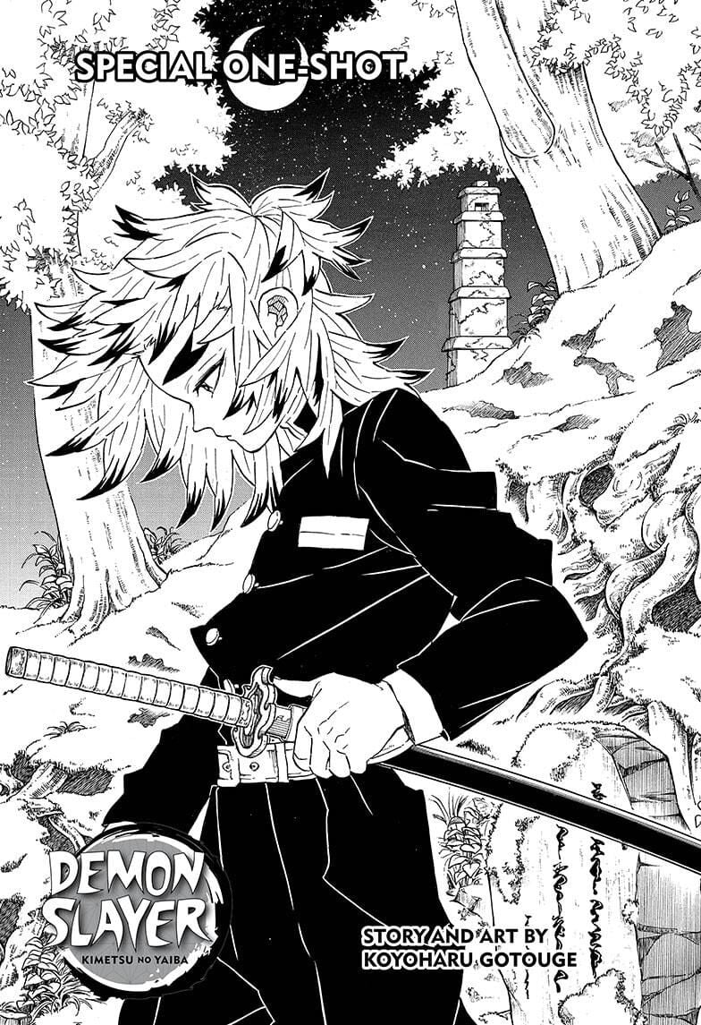Read Demon Slayer EN Manga Online