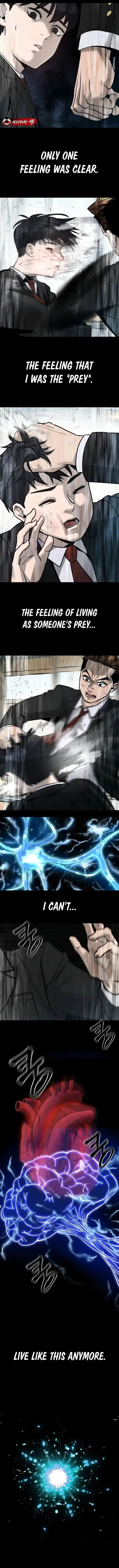 Read Designated Bully EN Manga Online