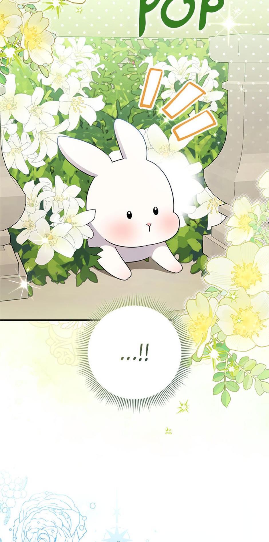 Read I'm a Beast, Not a Bunny! EN Manga Online