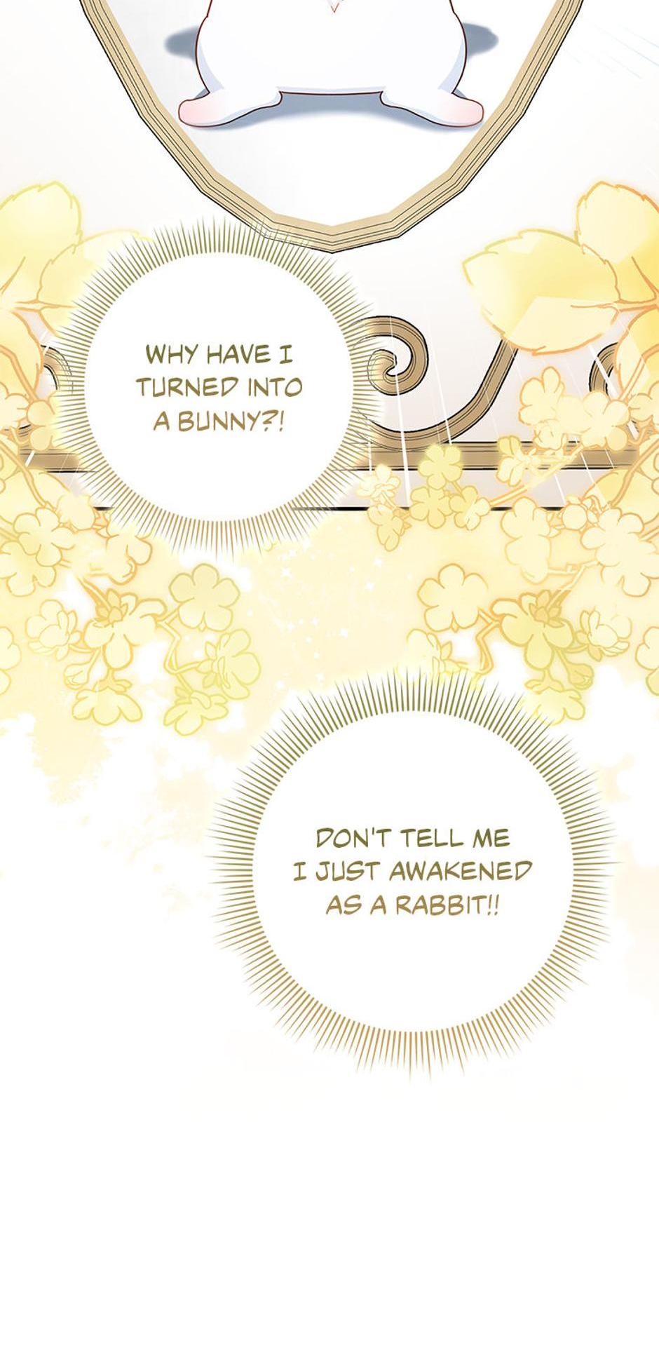 Read I'm a Beast, Not a Bunny! EN Manga Online