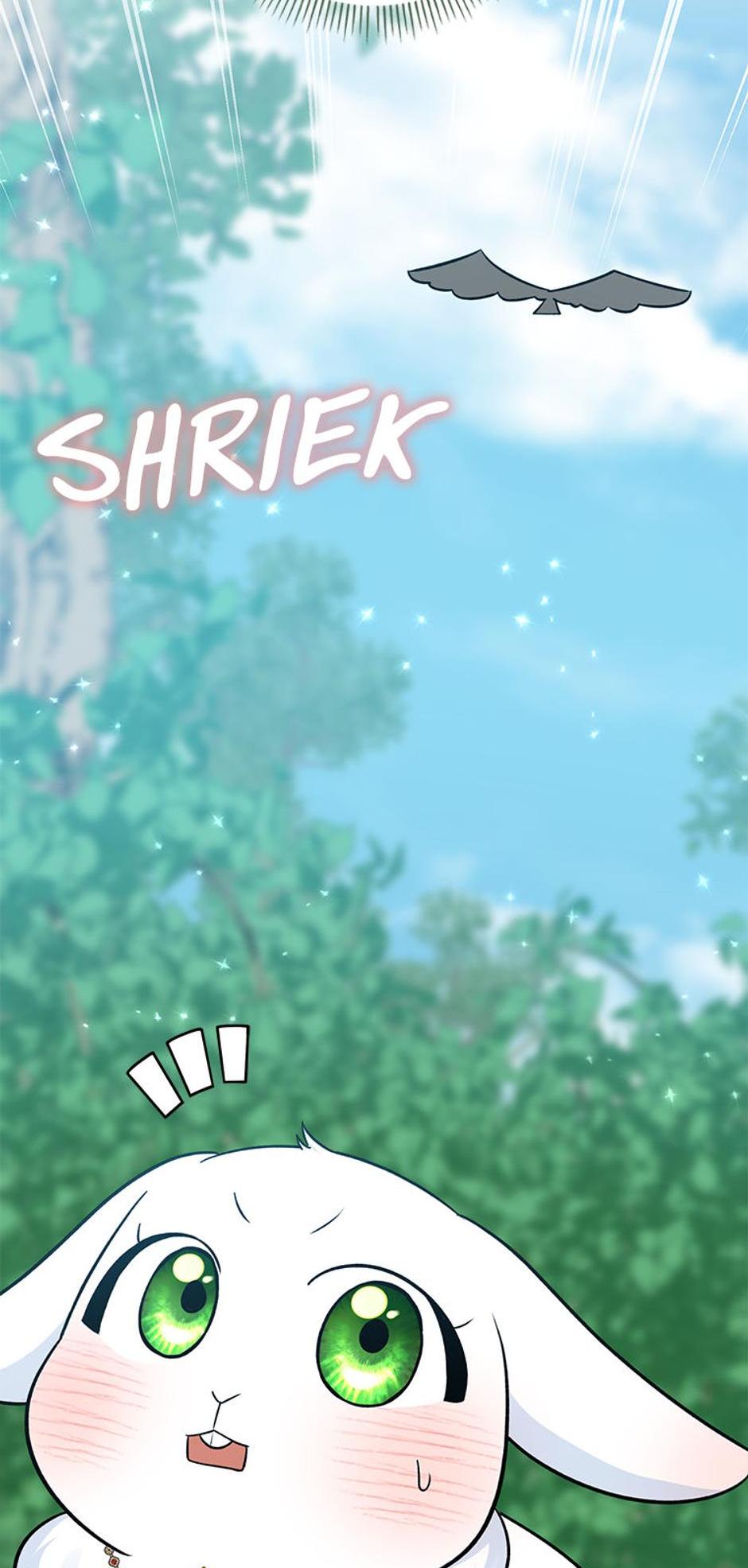 Read I'm a Beast, Not a Bunny! EN Manga Online