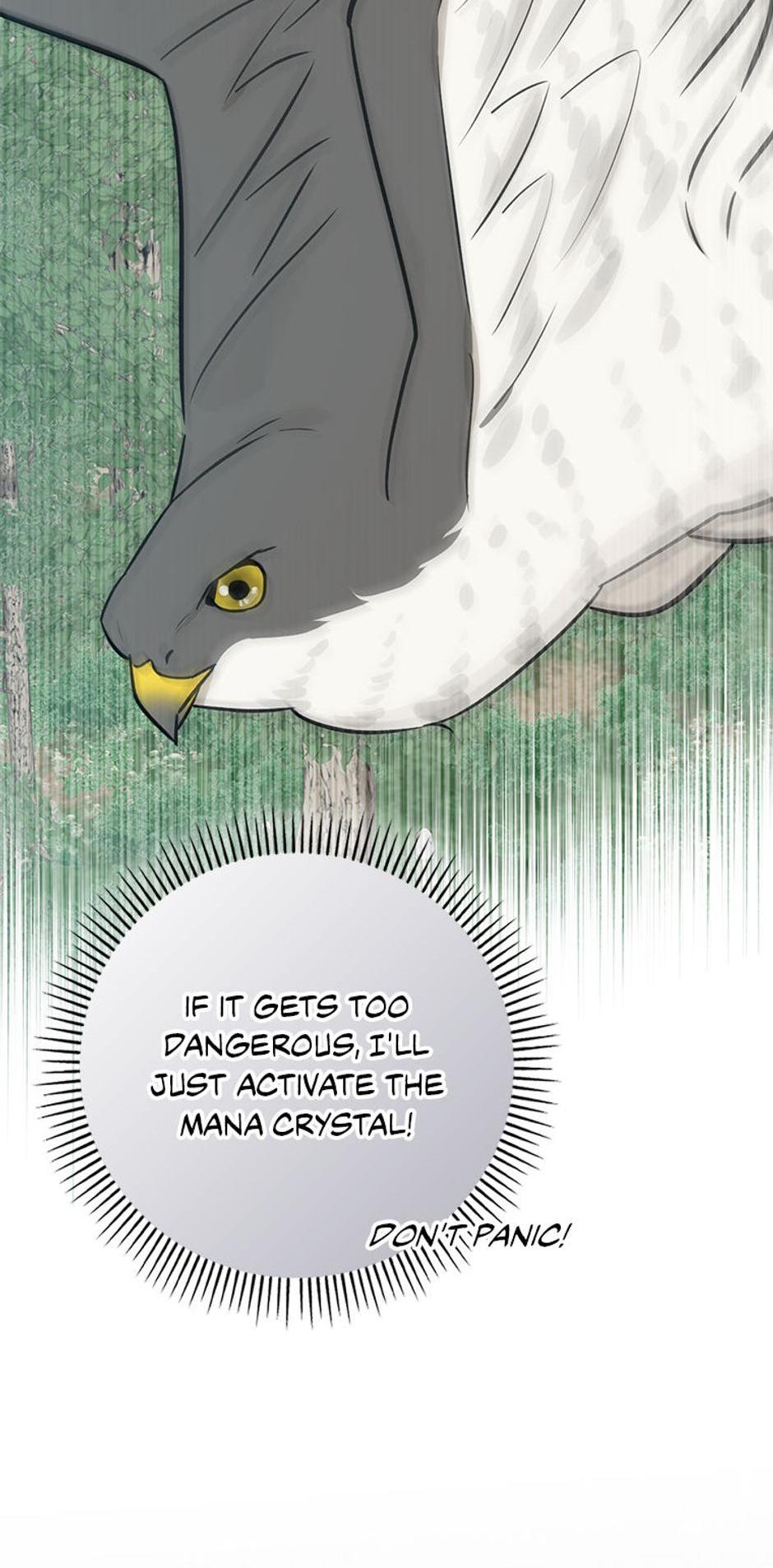 Read I'm a Beast, Not a Bunny! EN Manga Online