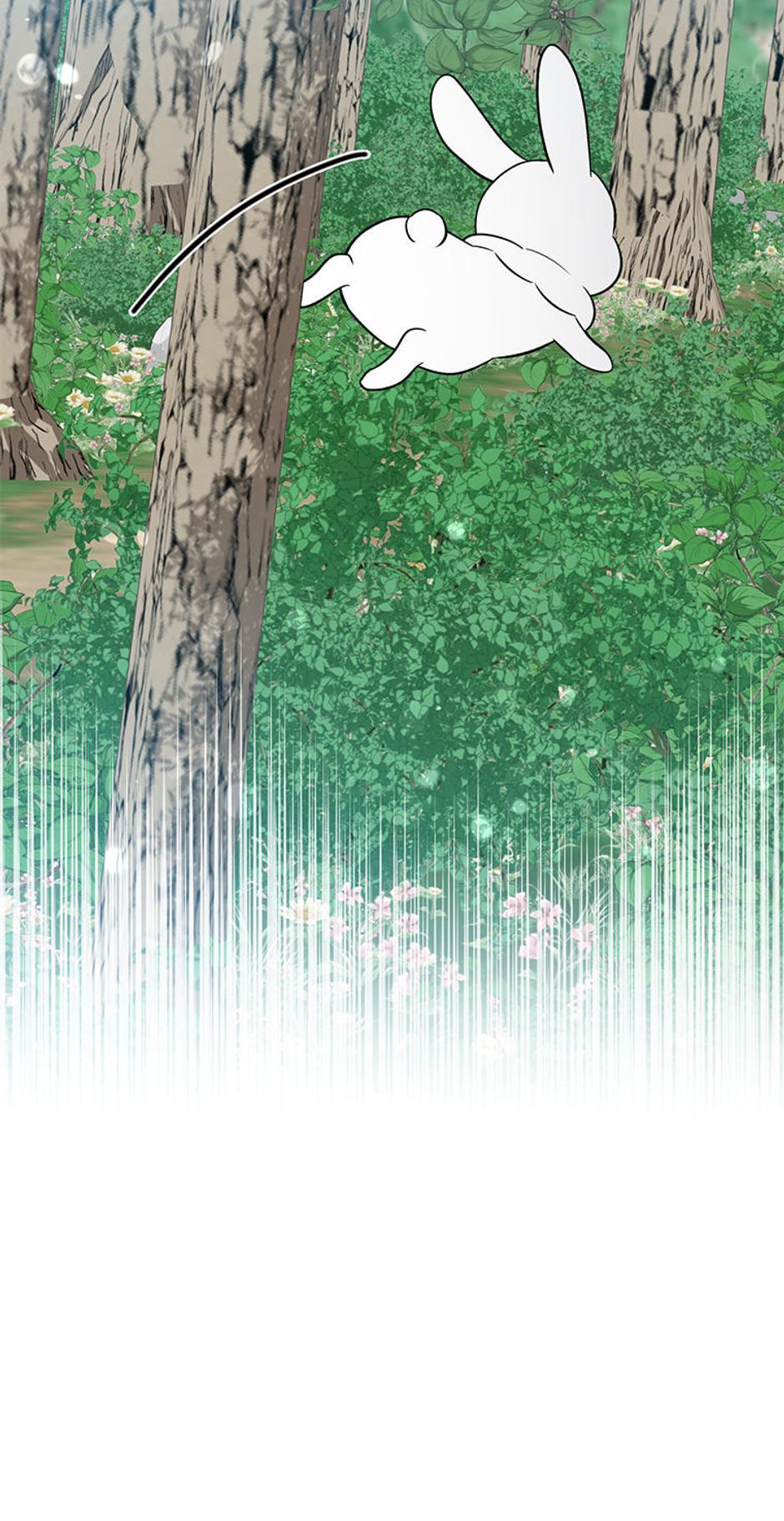 Read I'm a Beast, Not a Bunny! EN Manga Online