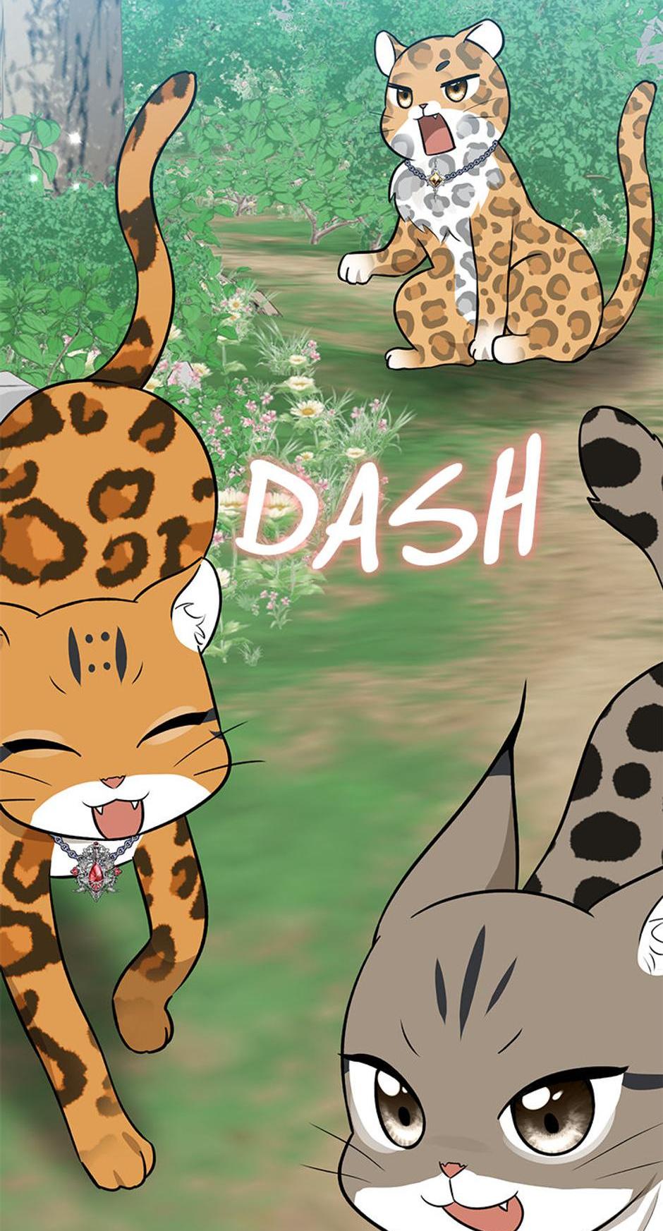 Read I'm a Beast, Not a Bunny! EN Manga Online