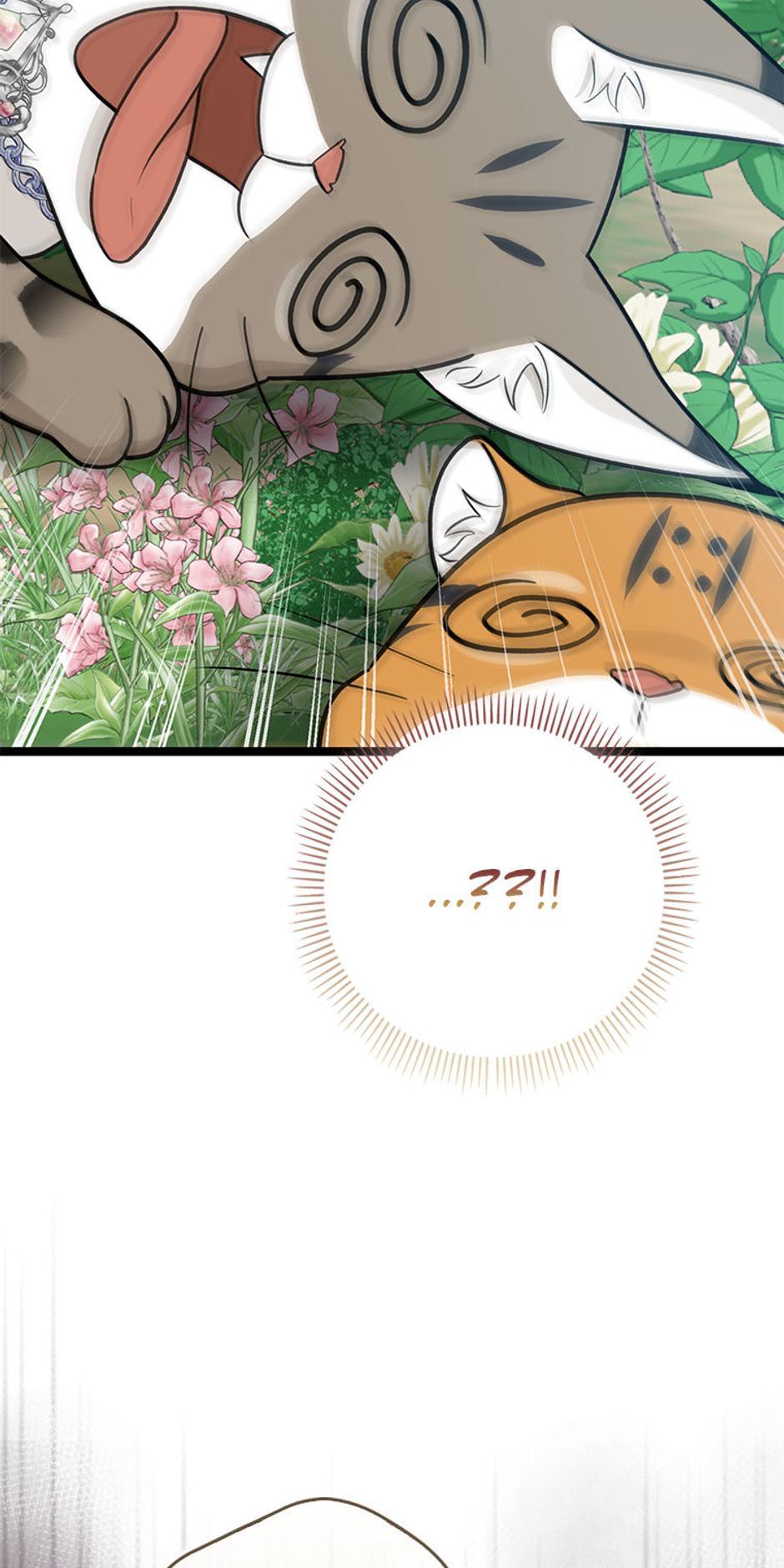 Read I'm a Beast, Not a Bunny! EN Manga Online