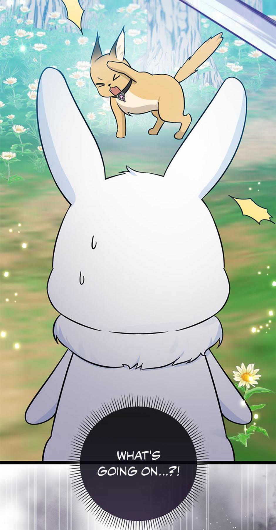 Read I'm a Beast, Not a Bunny! EN Manga Online