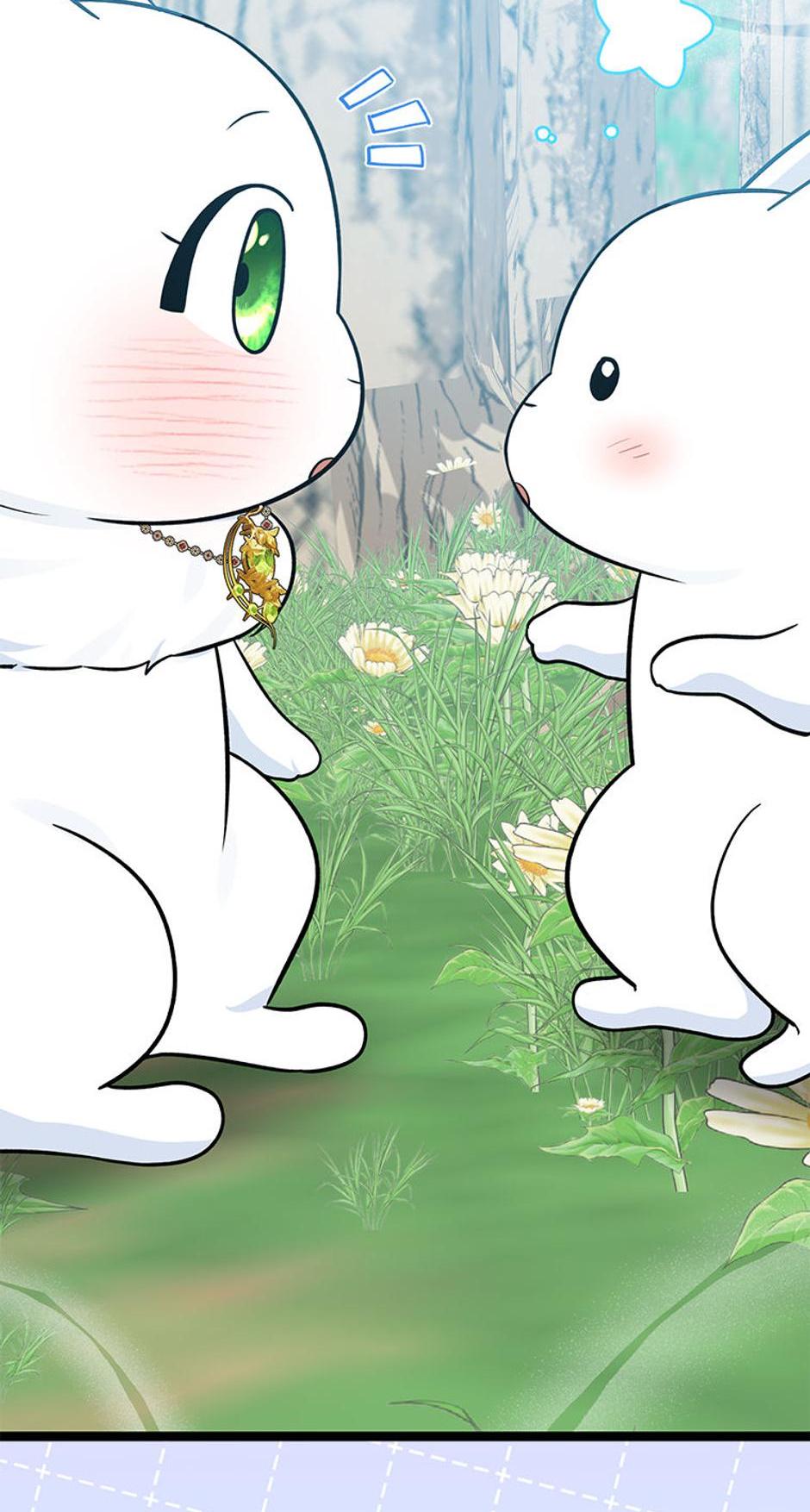 Read I'm a Beast, Not a Bunny! EN Manga Online