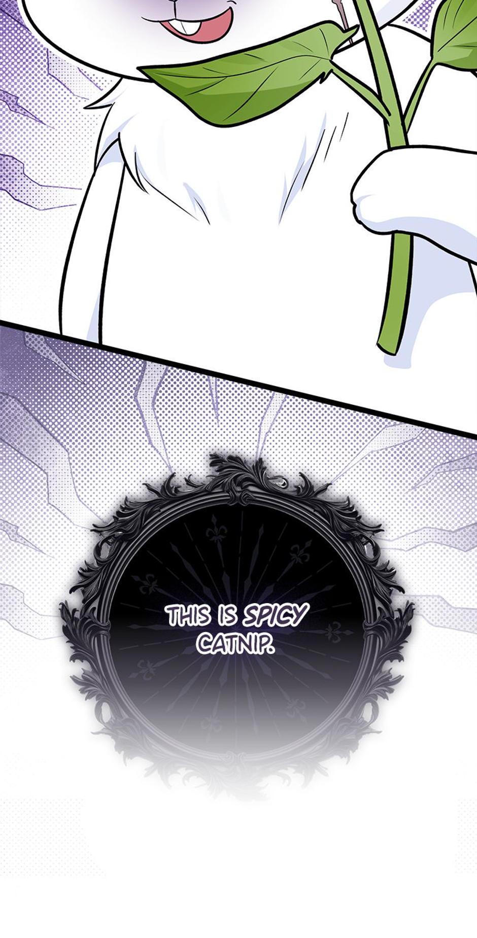 Read I'm a Beast, Not a Bunny! EN Manga Online