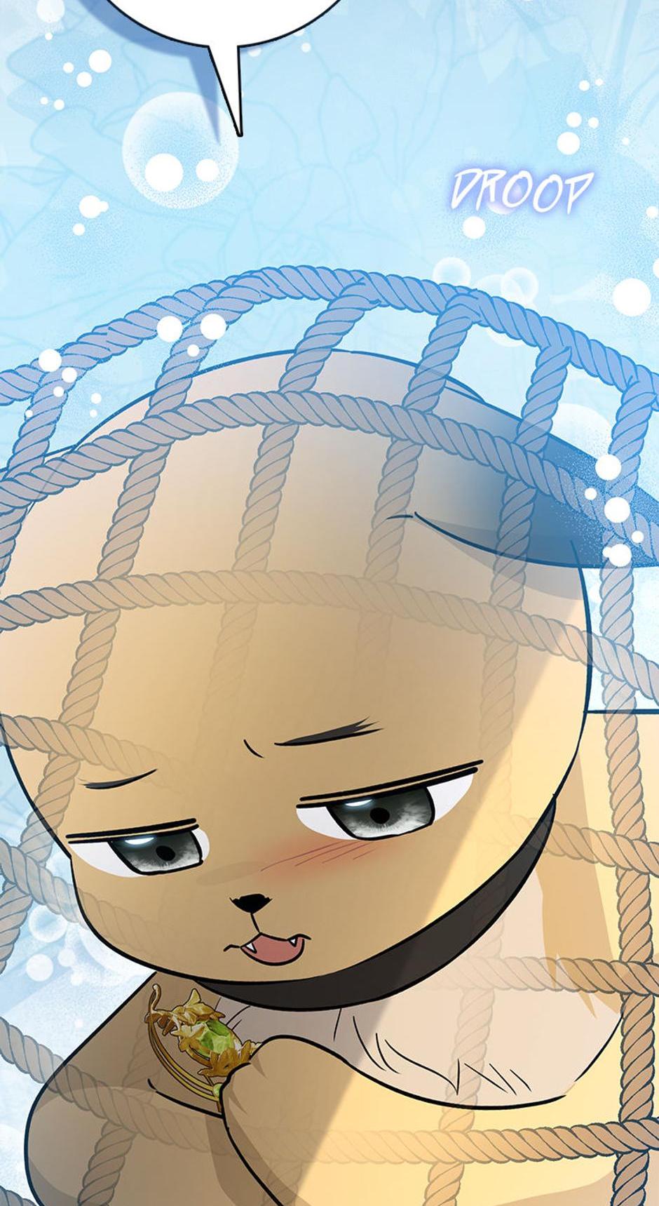 Read I'm a Beast, Not a Bunny! EN Manga Online