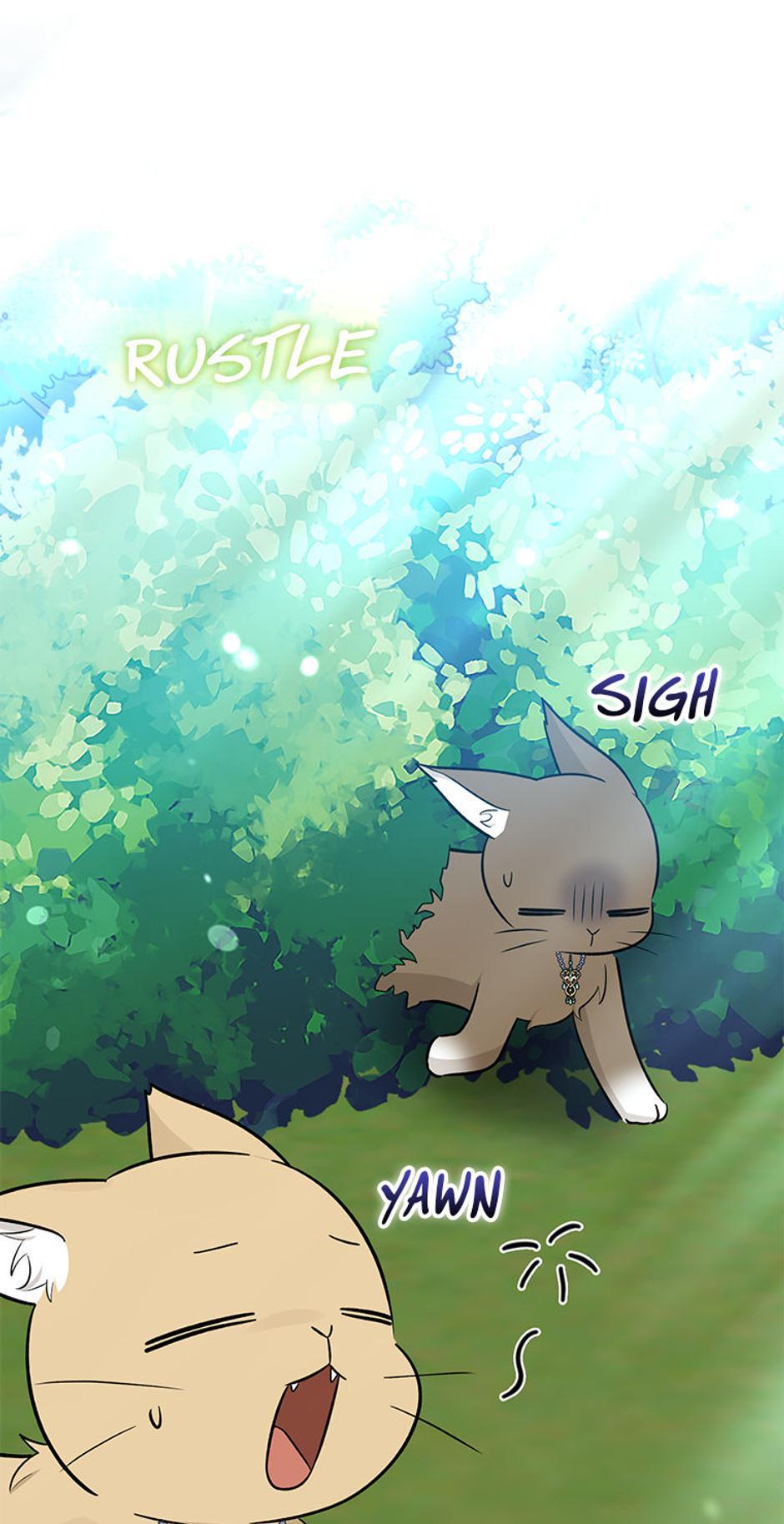 Read I'm a Beast, Not a Bunny! EN Manga Online