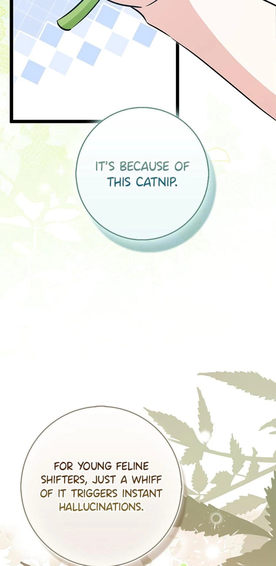 Read I'm a Beast, Not a Bunny! EN Manga Online