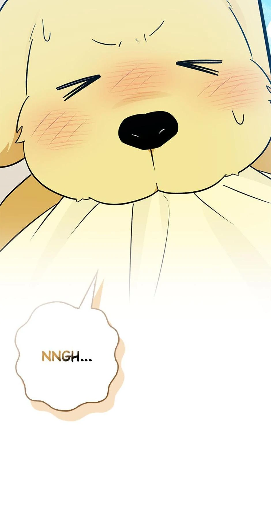 Read I'm a Beast, Not a Bunny! EN Manga Online