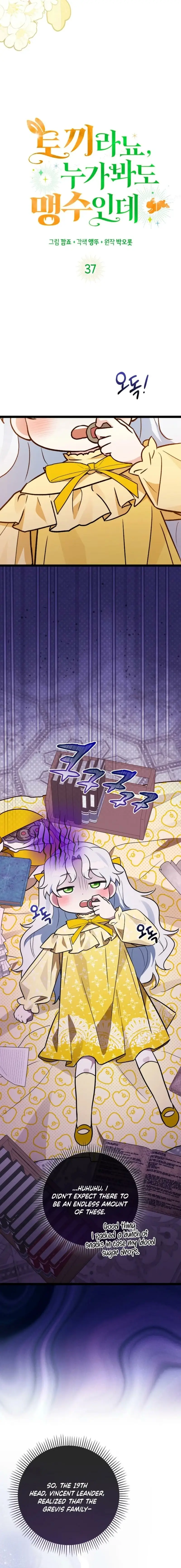 Read I'm a Beast, Not a Bunny! EN Manga Online