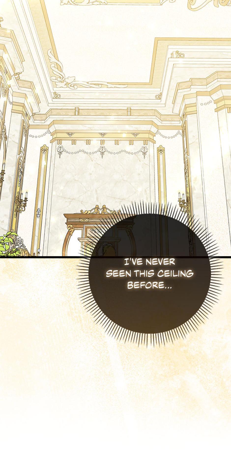 Read I'm a Beast, Not a Bunny! EN Manga Online