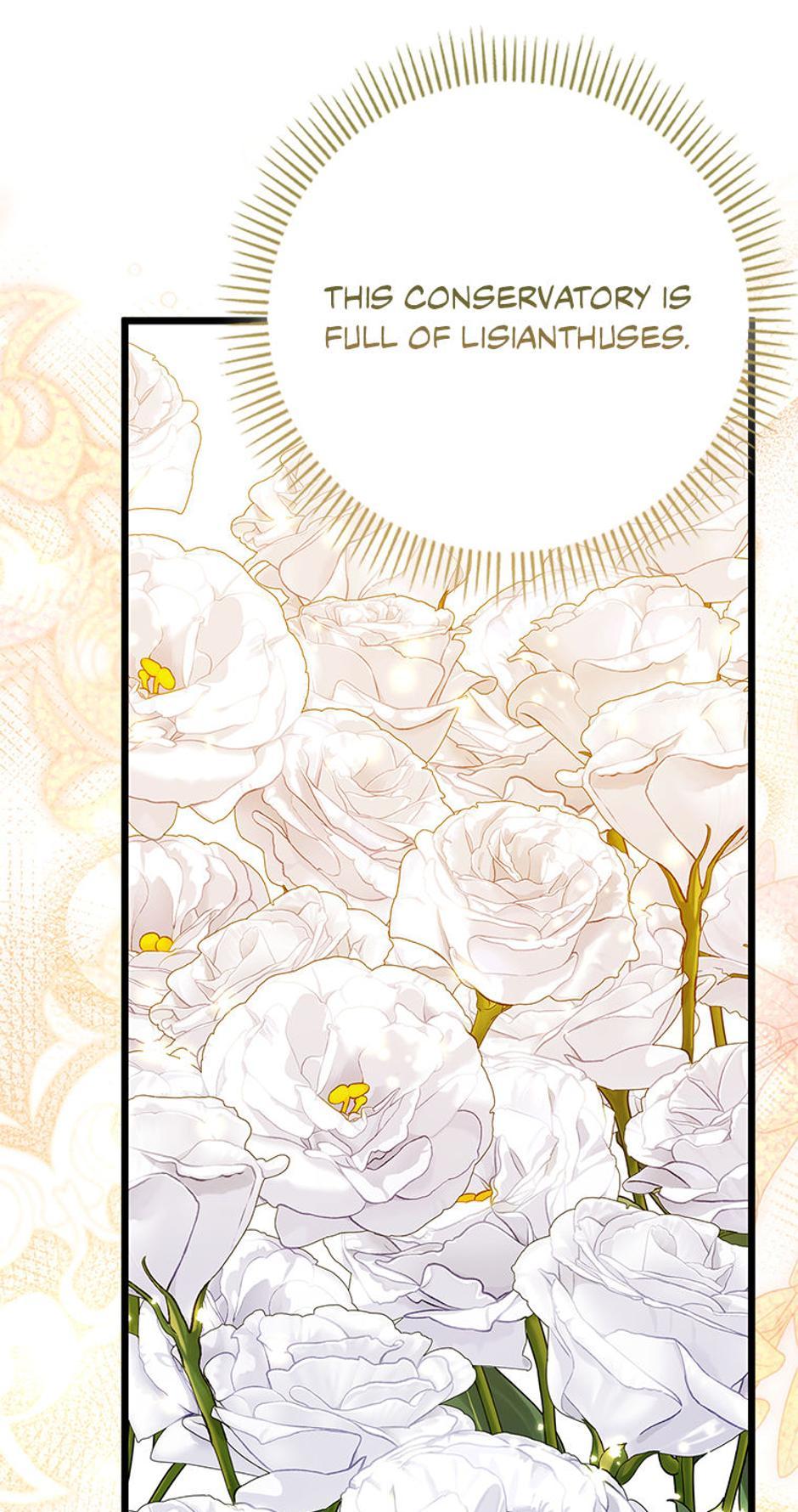 Read I'm a Beast, Not a Bunny! EN Manga Online