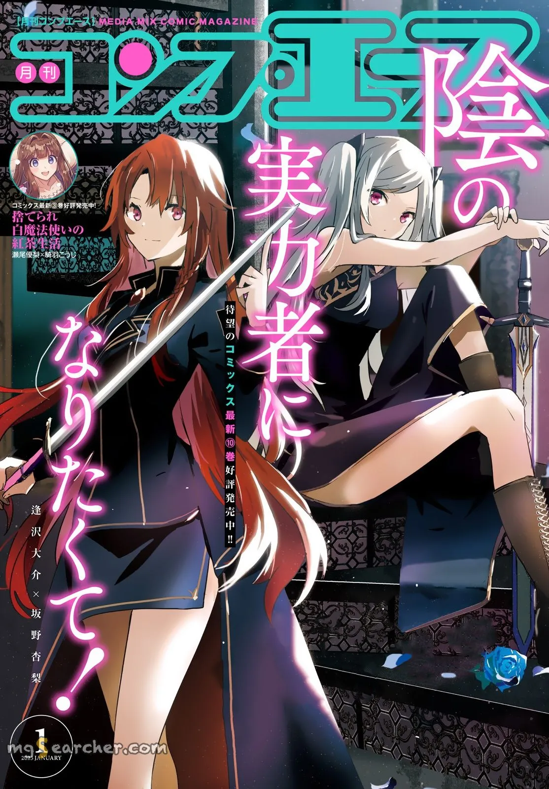 Read Kage no Jitsuryokusha ni Naritakute EN Manga Online