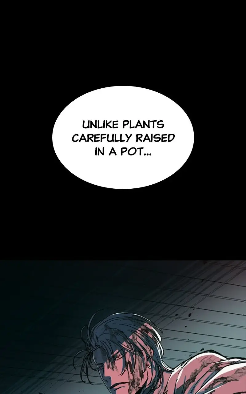 Read Kowloon Copóka EN Manga Online