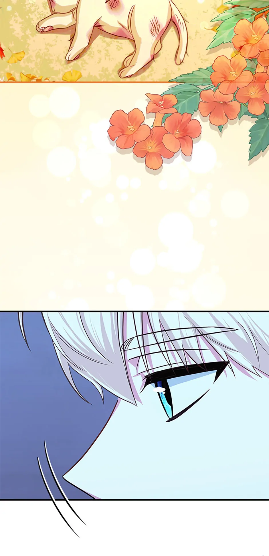 Read Lady Blue Bird of the White Lion Family EN Manga Online