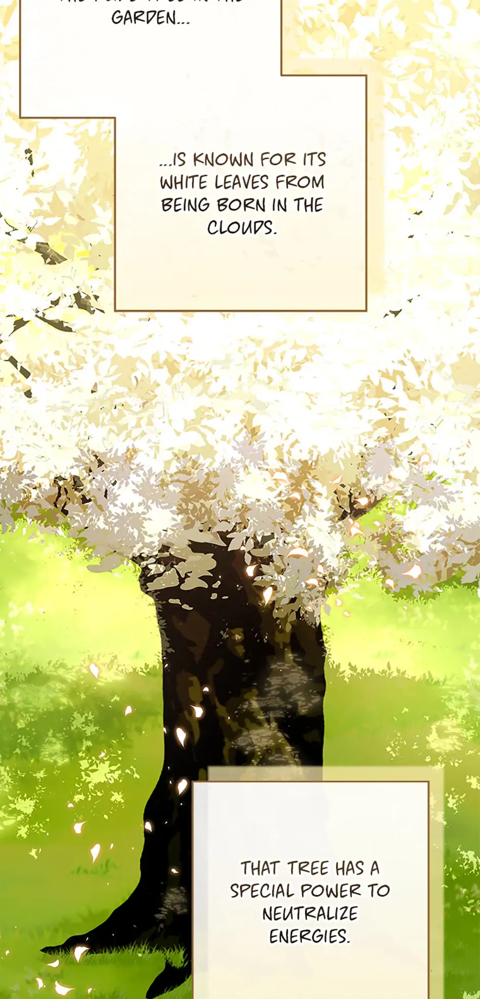 Read Lady Blue Bird of the White Lion Family EN Manga Online