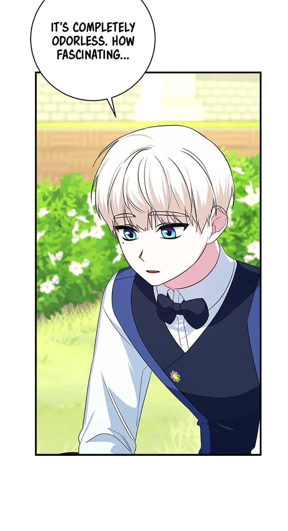 Read Lady Blue Bird of the White Lion Family EN Manga Online